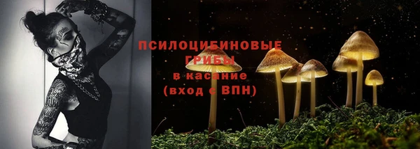 соль ск Алзамай