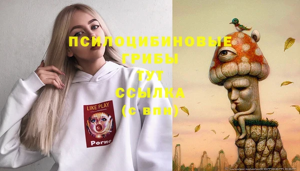 ALPHA-PVP Алексеевка