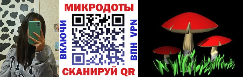 продажа наркотиков  Оса  Псилоцибиновые грибы ЛСД 